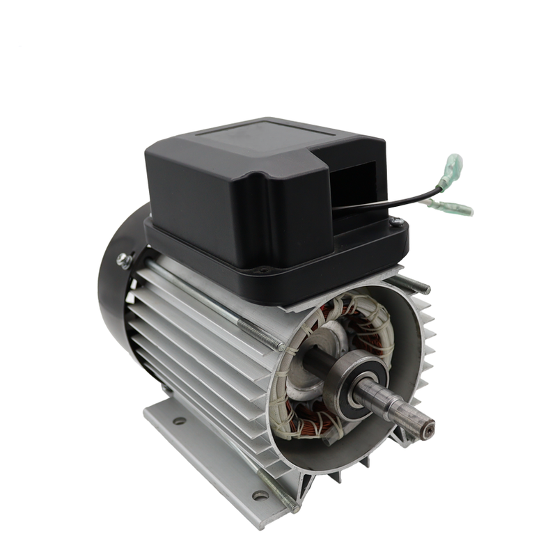 Belmont Single Phase Asynchronous Electric AC Motor For Chemical Pump, Water Pump