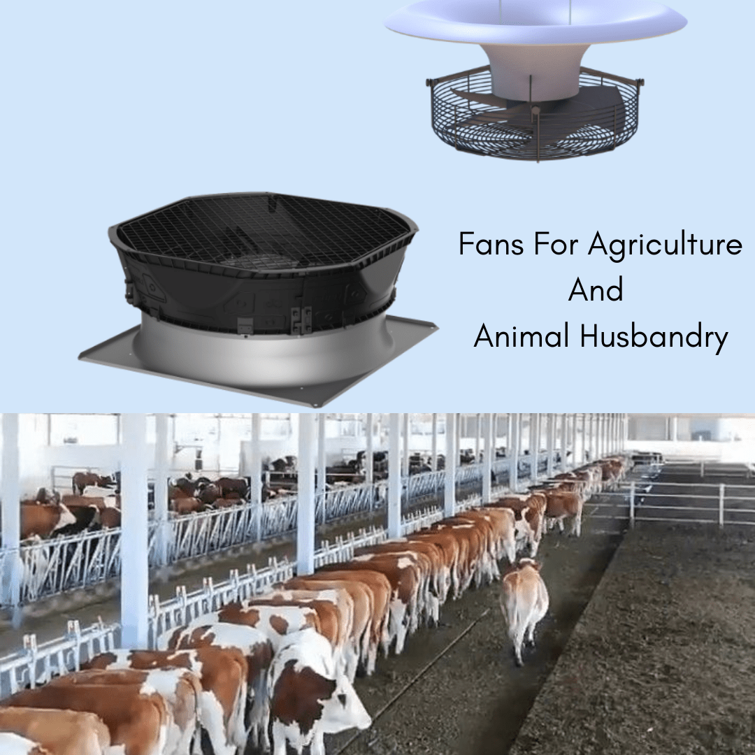 Smarter Ventilation for Livestock & Agriculture: EC Axial Fan Solutions by Belmont Fan