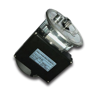 Belmont Single Phase Asynchronous Electric AC Motor For Food Processor 250 W