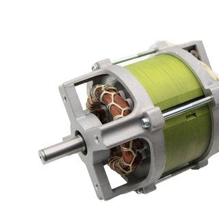Belmont Single Phase Asynchronous sand filter Electric AC Motor For Swimming Pool Equipment
