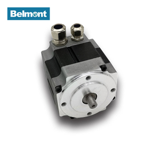 BLM-62WS 24V High Speed Low Torque Brushless DC Motor 